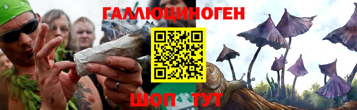 Железногорск  Псилоцибиновые грибы Magic Shrooms  Вход с VPN 